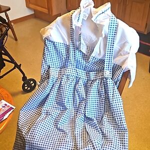 Dorothy dress from wizard of oz.